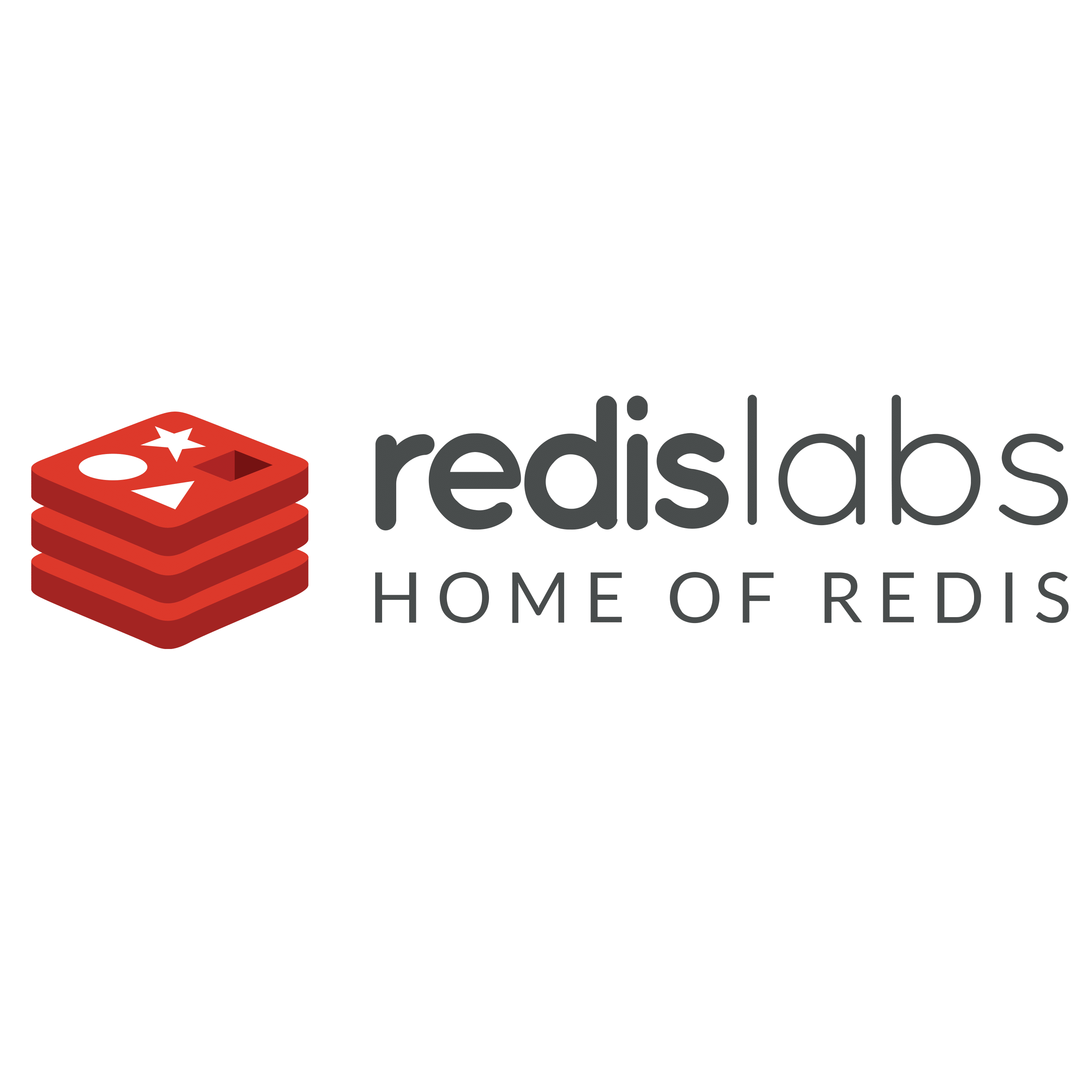 Redis Labs